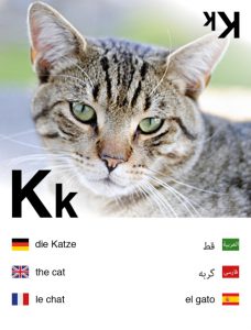 Bild: Spielkarte mit Katze