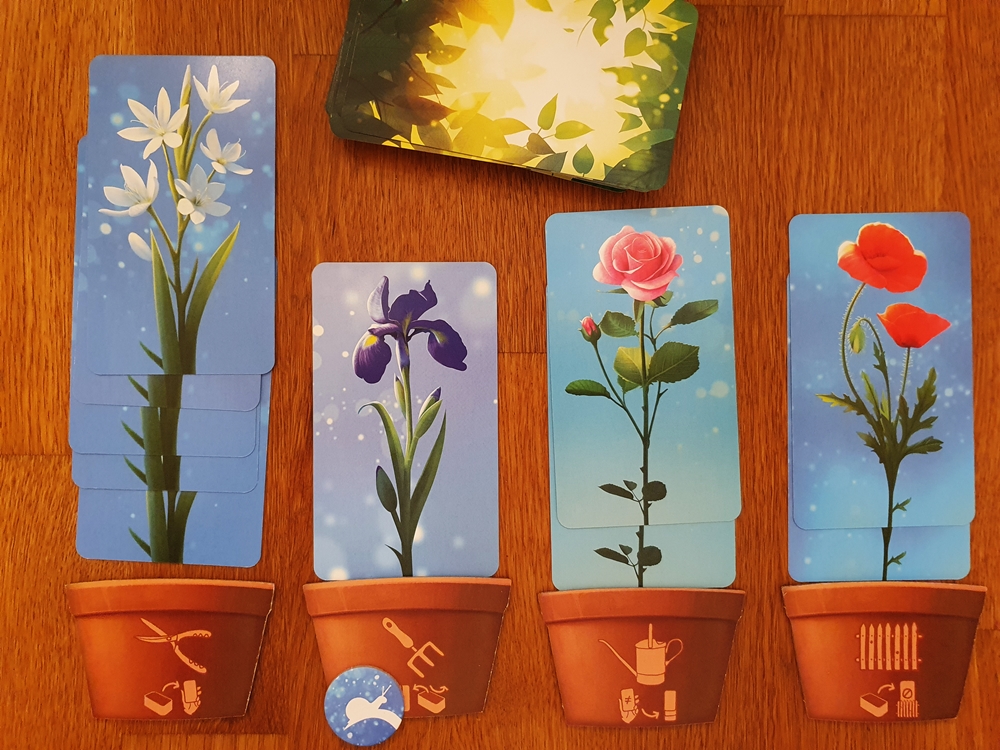 Spielsituation: vier Pflanztöpfe mit Blumenkarten