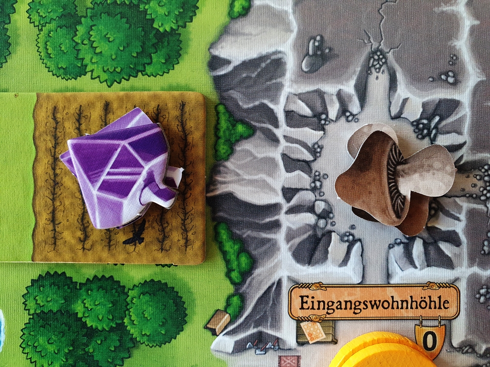 Juwelfrüchte und Pilze im Anbau