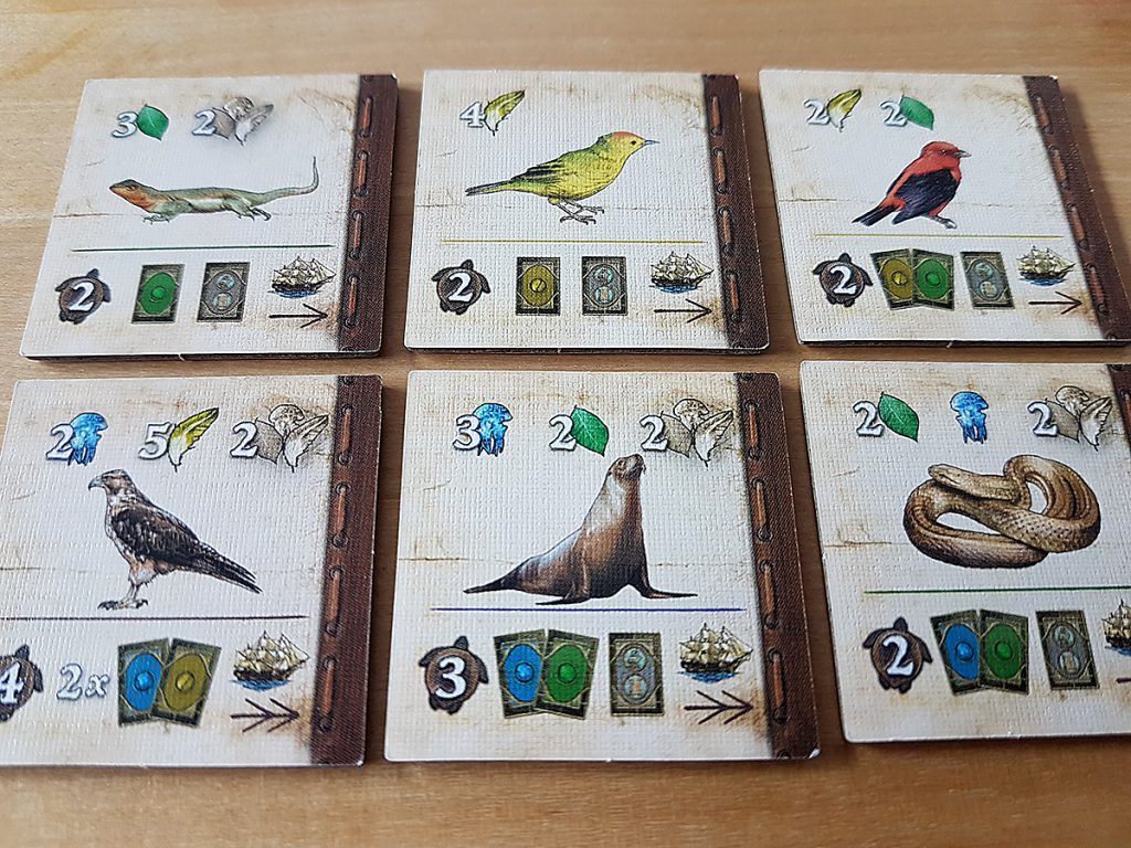 Über die Entstehung der Arten - einige Arten-Plättchen