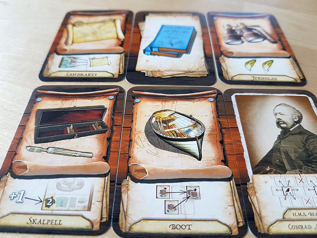 Über die Entstehung der Arten - Spielkarten