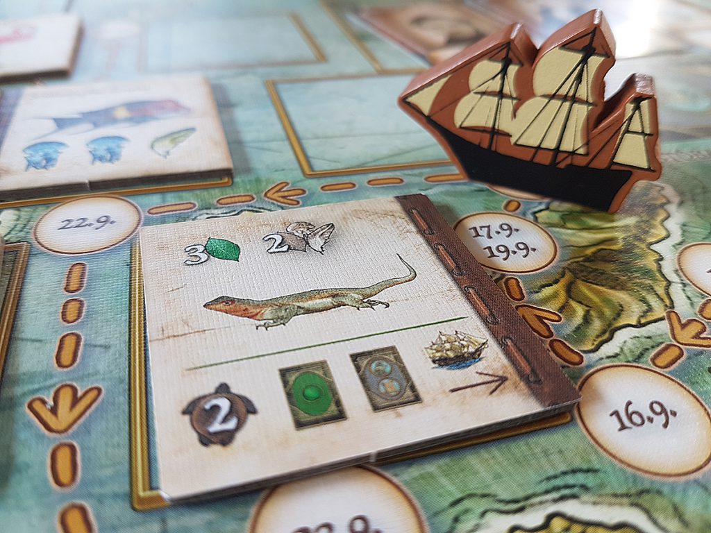 Über die Entstehung der Arten - Detail vom Material