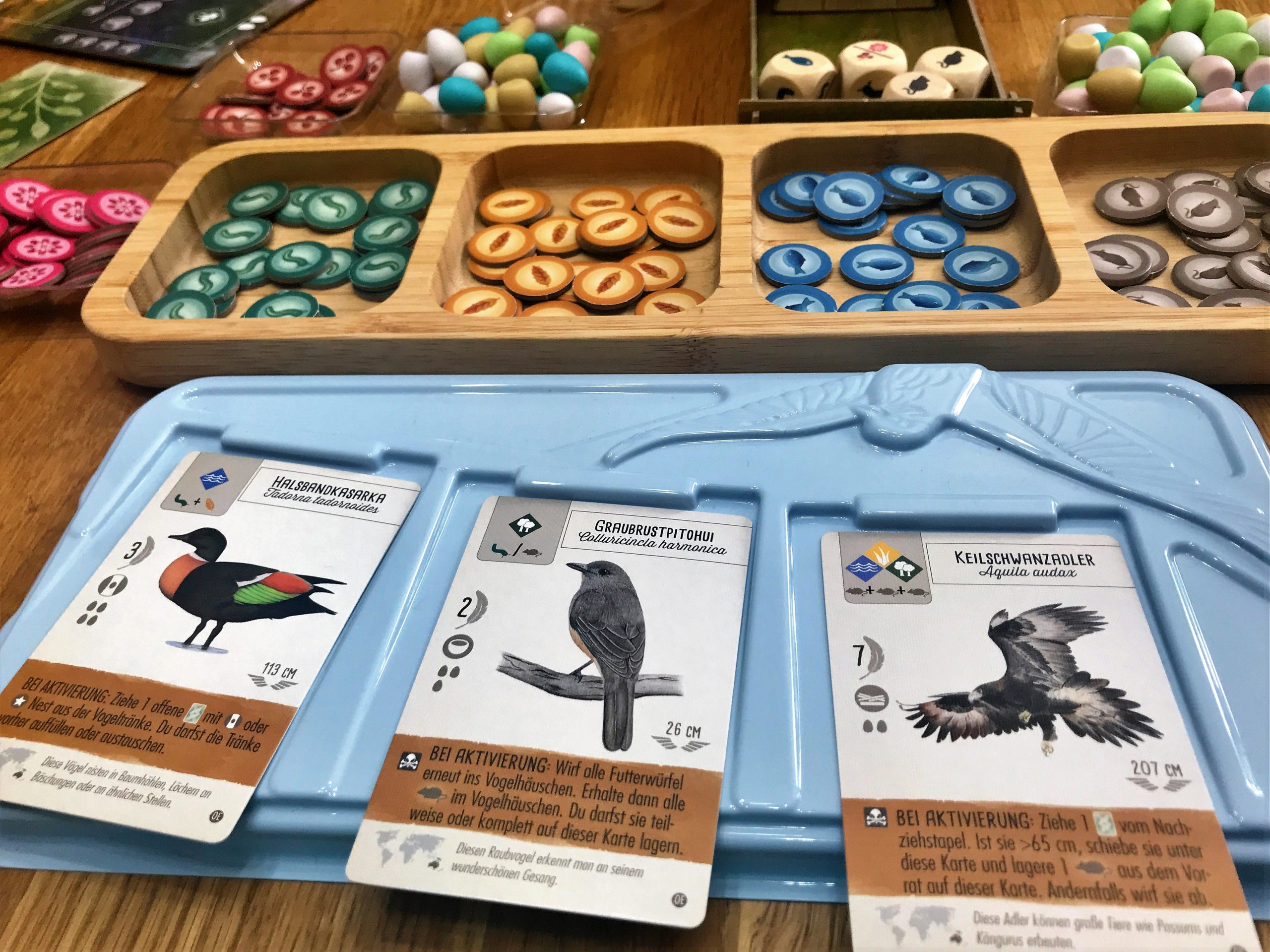 Drei neue Vögel liegen in der Tränke. 