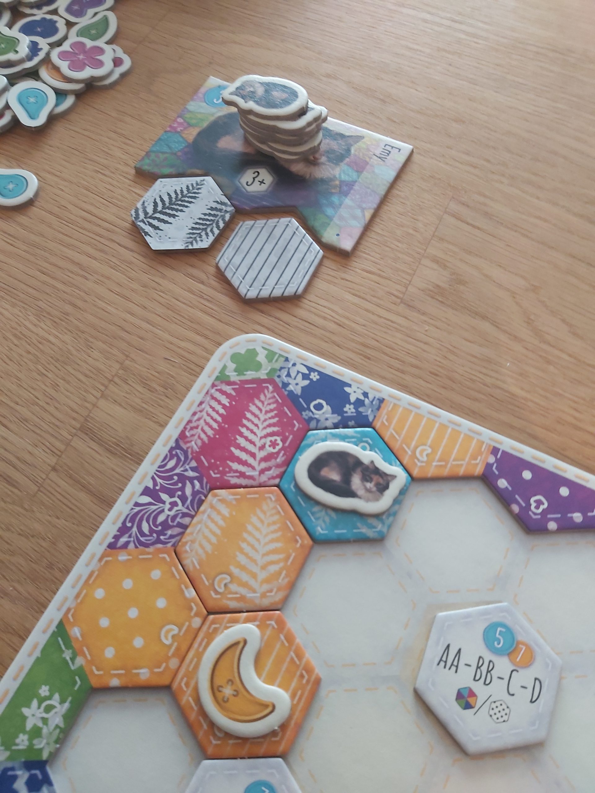 Zu sehen ist eine Katze, die auf die Decke gelockt wurde.