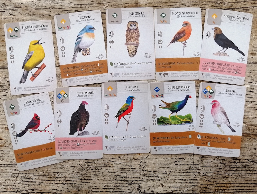 Vogelkarten