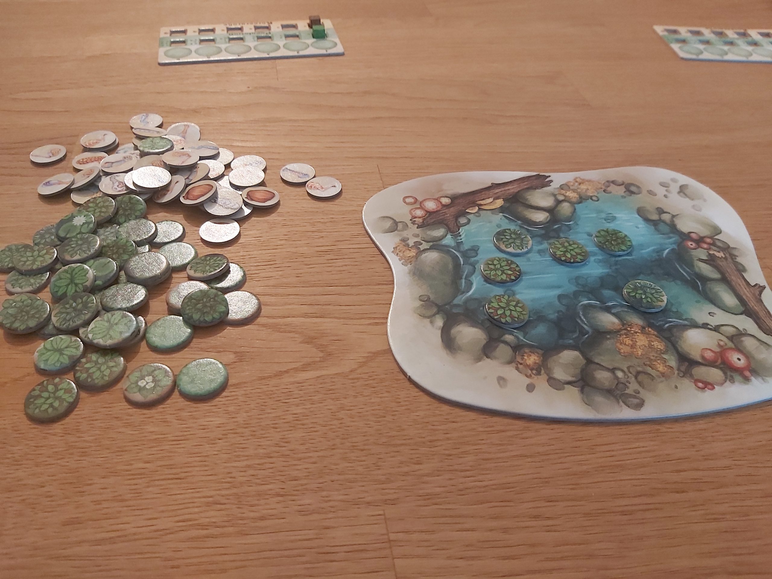 Zu sehen ist das Wasserloch mit Nahrungschips