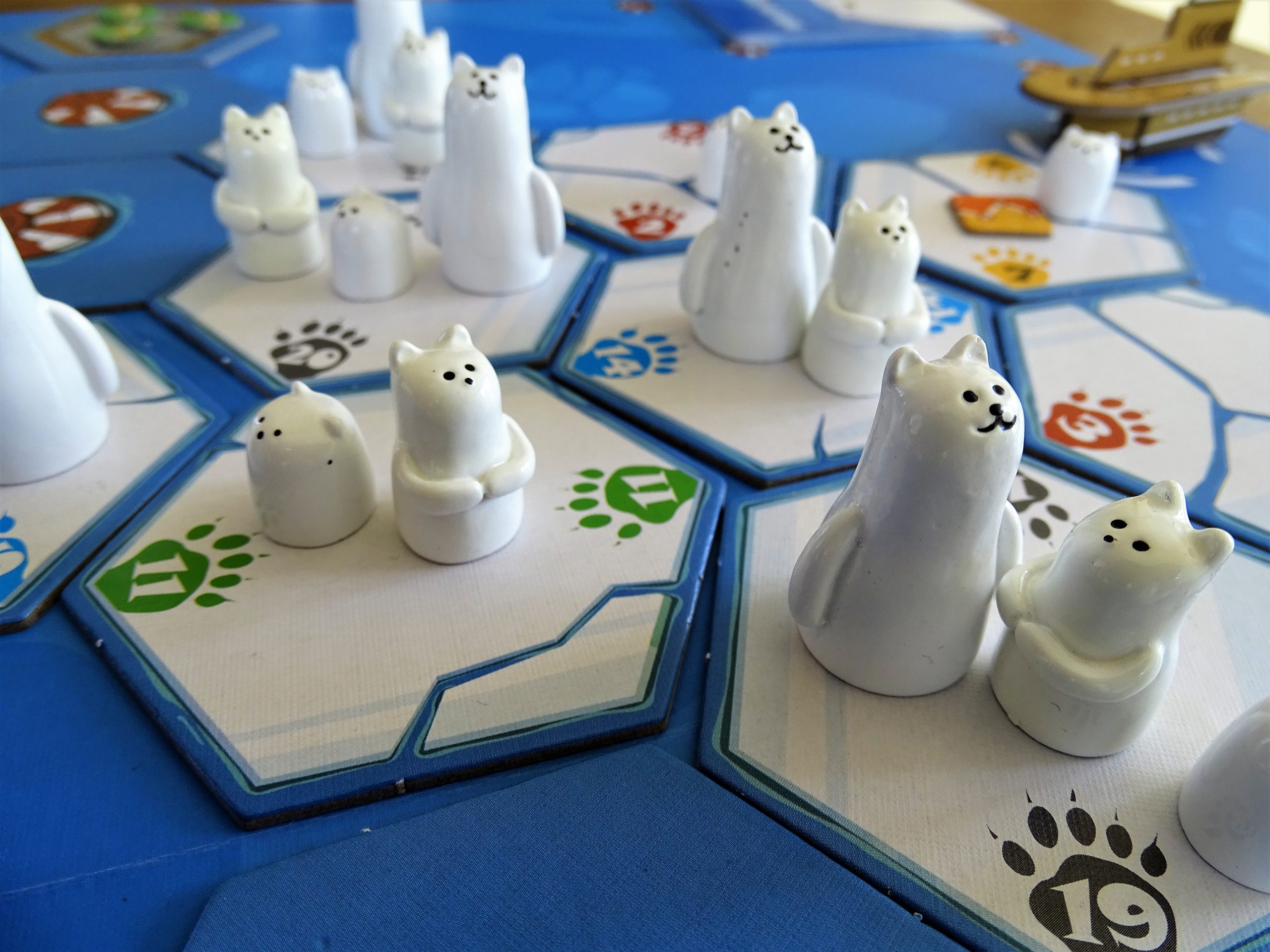 Die Eisbären erfüllen jedes Kindchenschema.