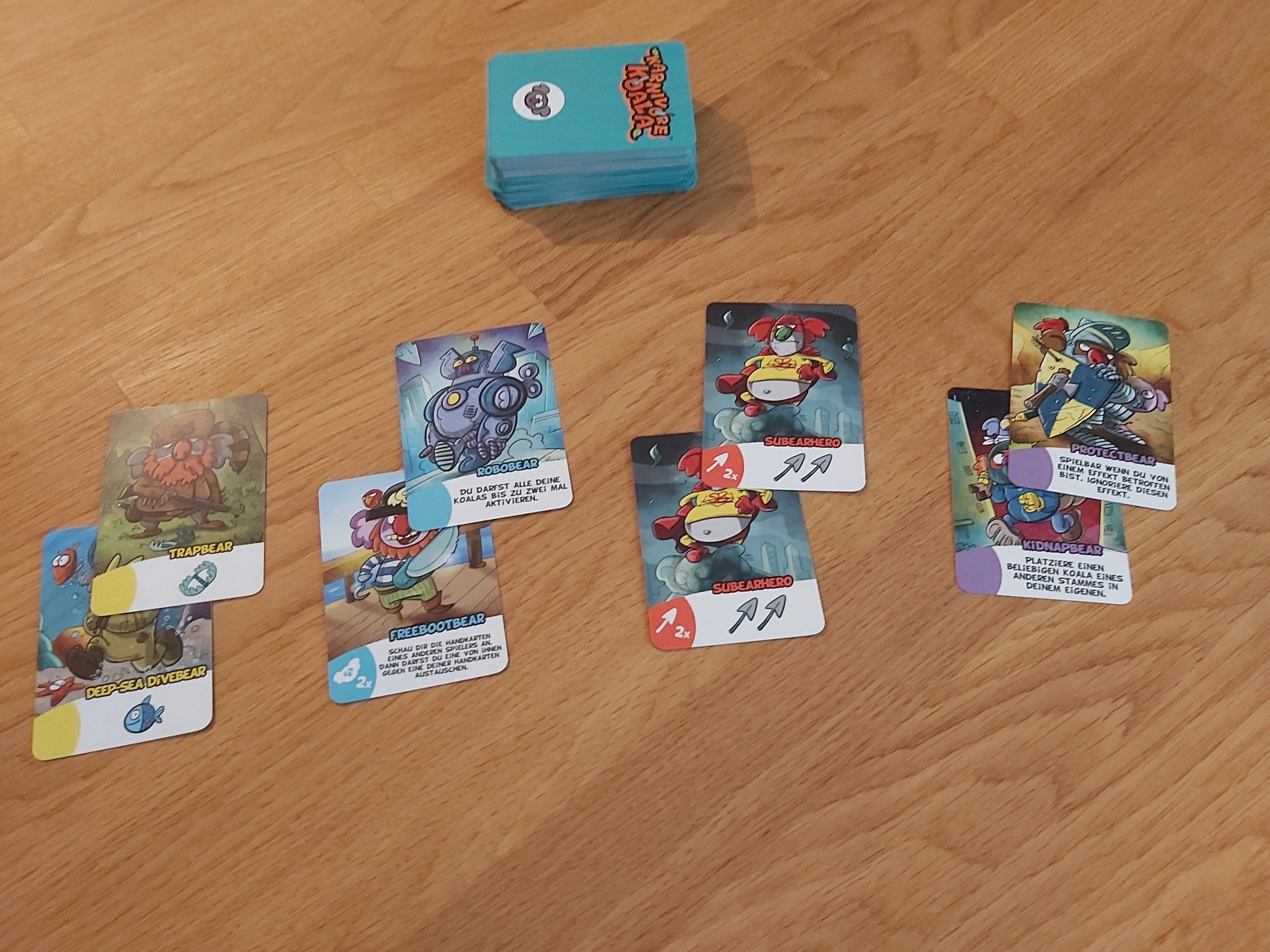 Zu sehen sind die verschiedenen Koala Arten von Karnivore Koala.