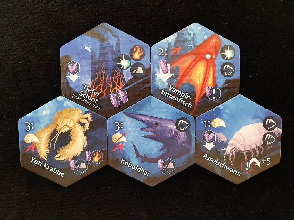 Fünf in Anordnung gelegte Plättchen