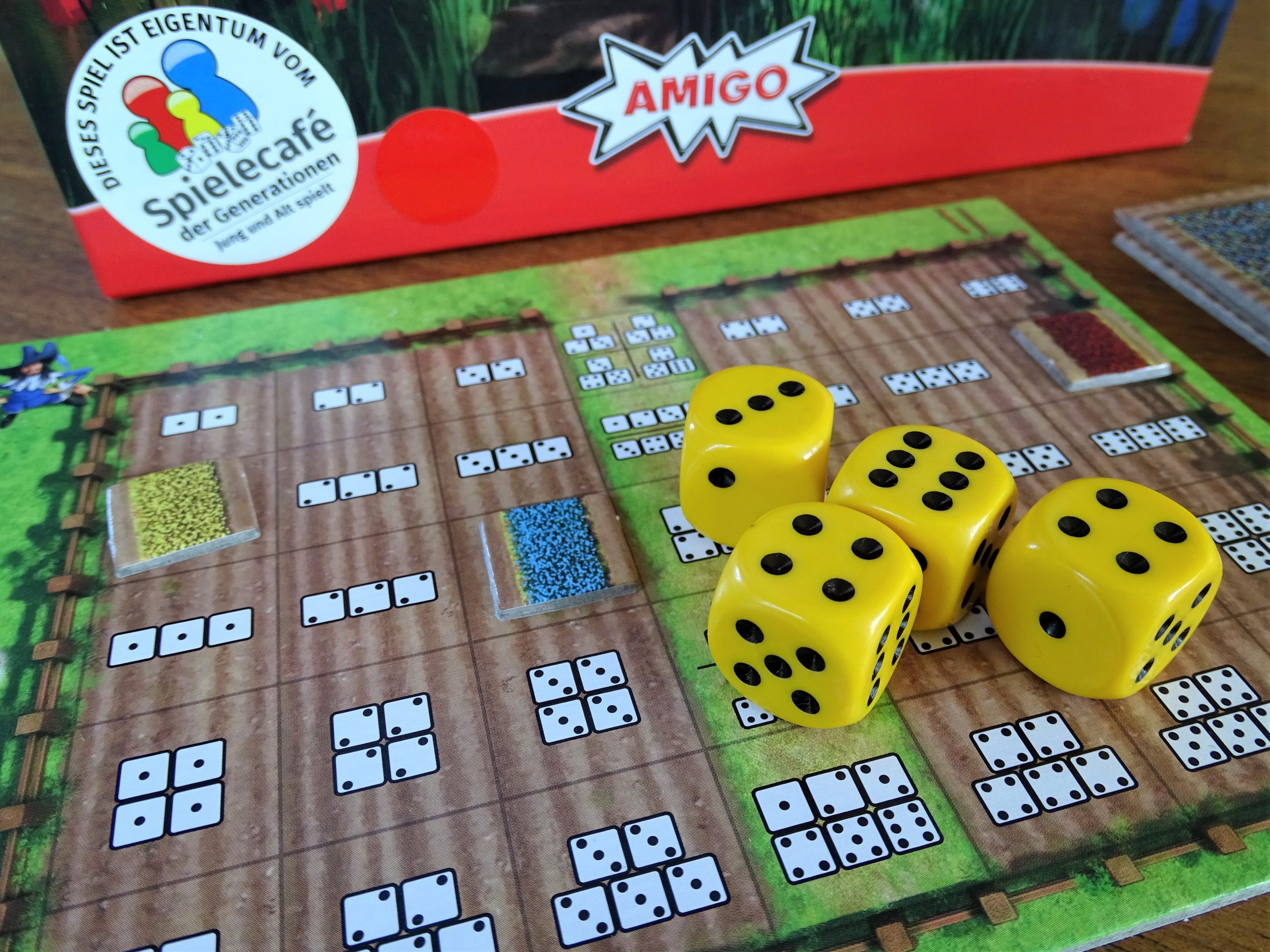 Auf die Tulpenzwiebel, fertig, los!