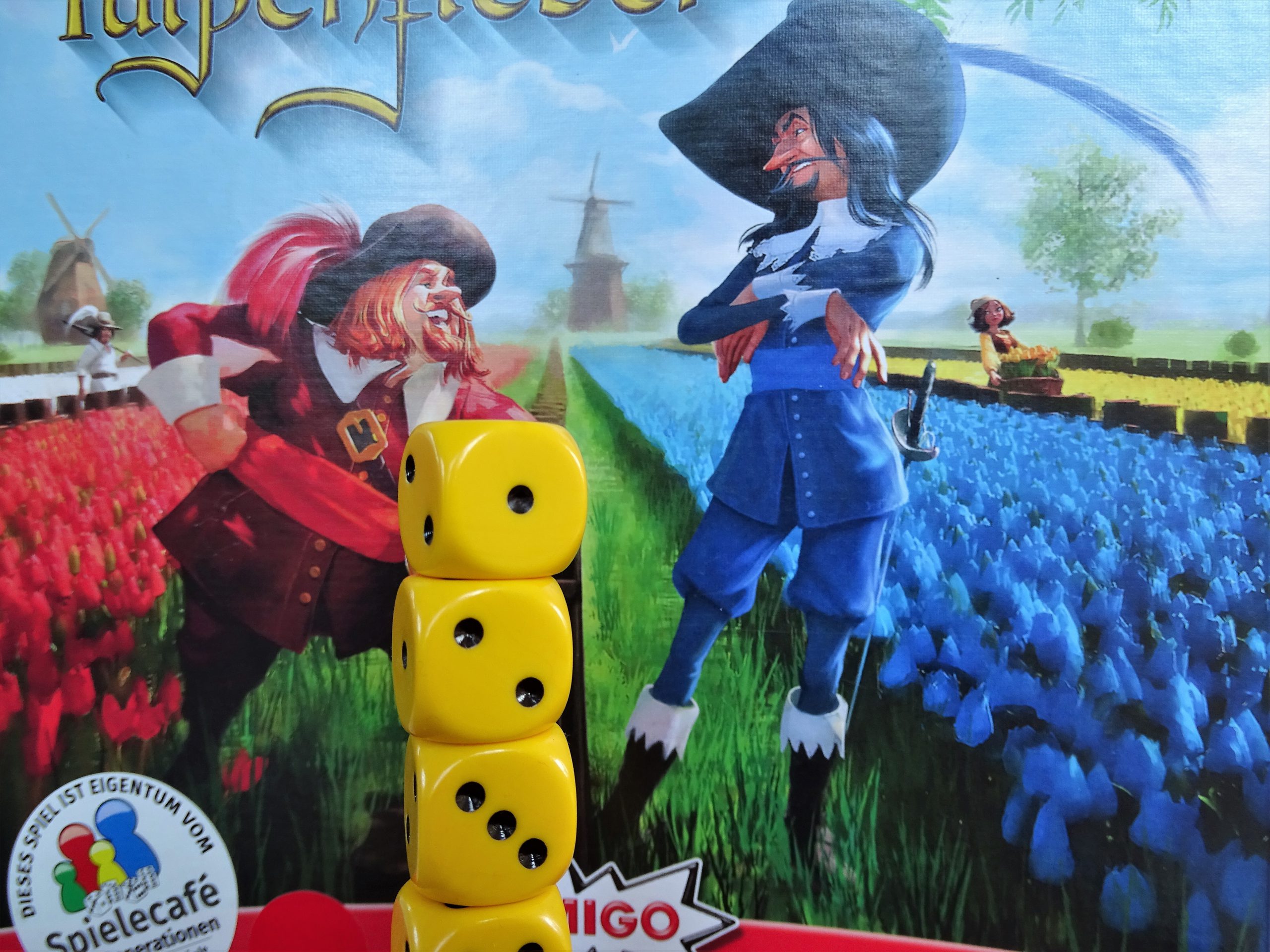 Wettstreit um Tulpen ist leider Fehlanzeige?