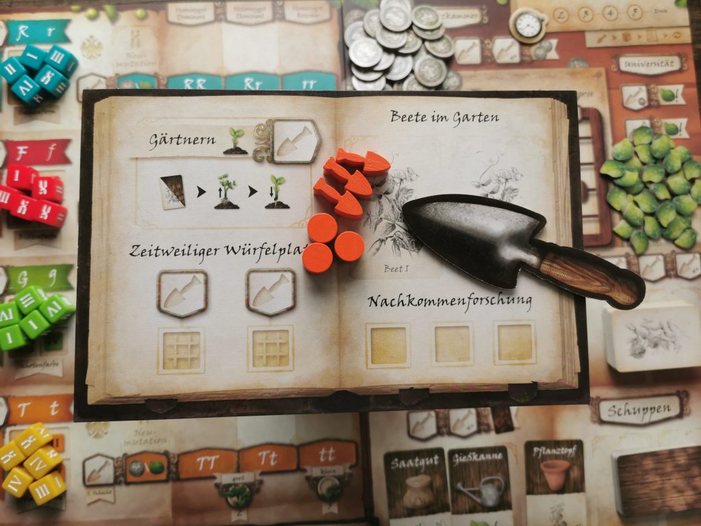 Aufbau des eigenen Gartens