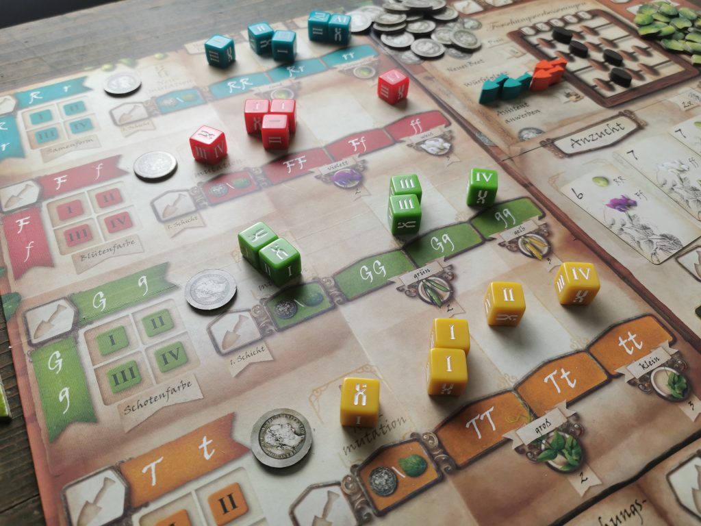 Spielplan in fortgeschrittenem Spiel: Würfel wurden platziert