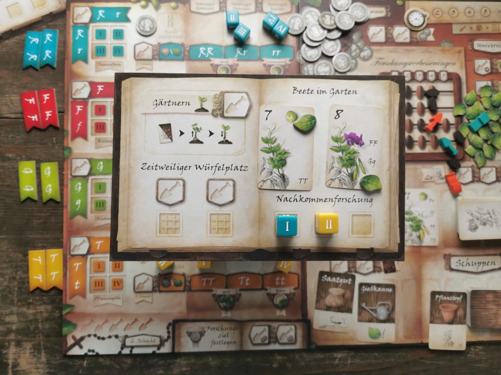 Würfel wurden im Garten eingesetzt