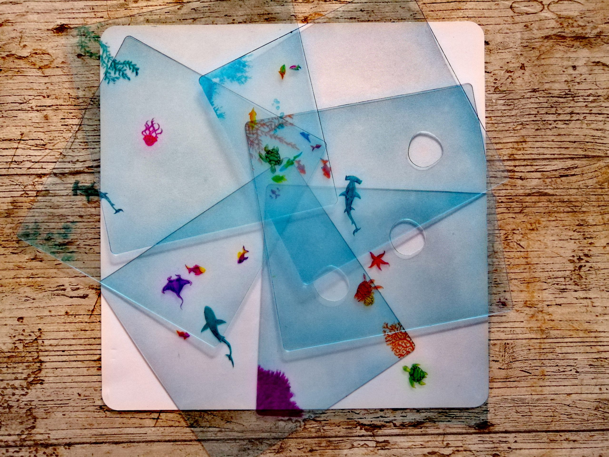 Jede Ozeankarte ist einzigartig mit Meeresbewohner und Pflanzen bedruckt.