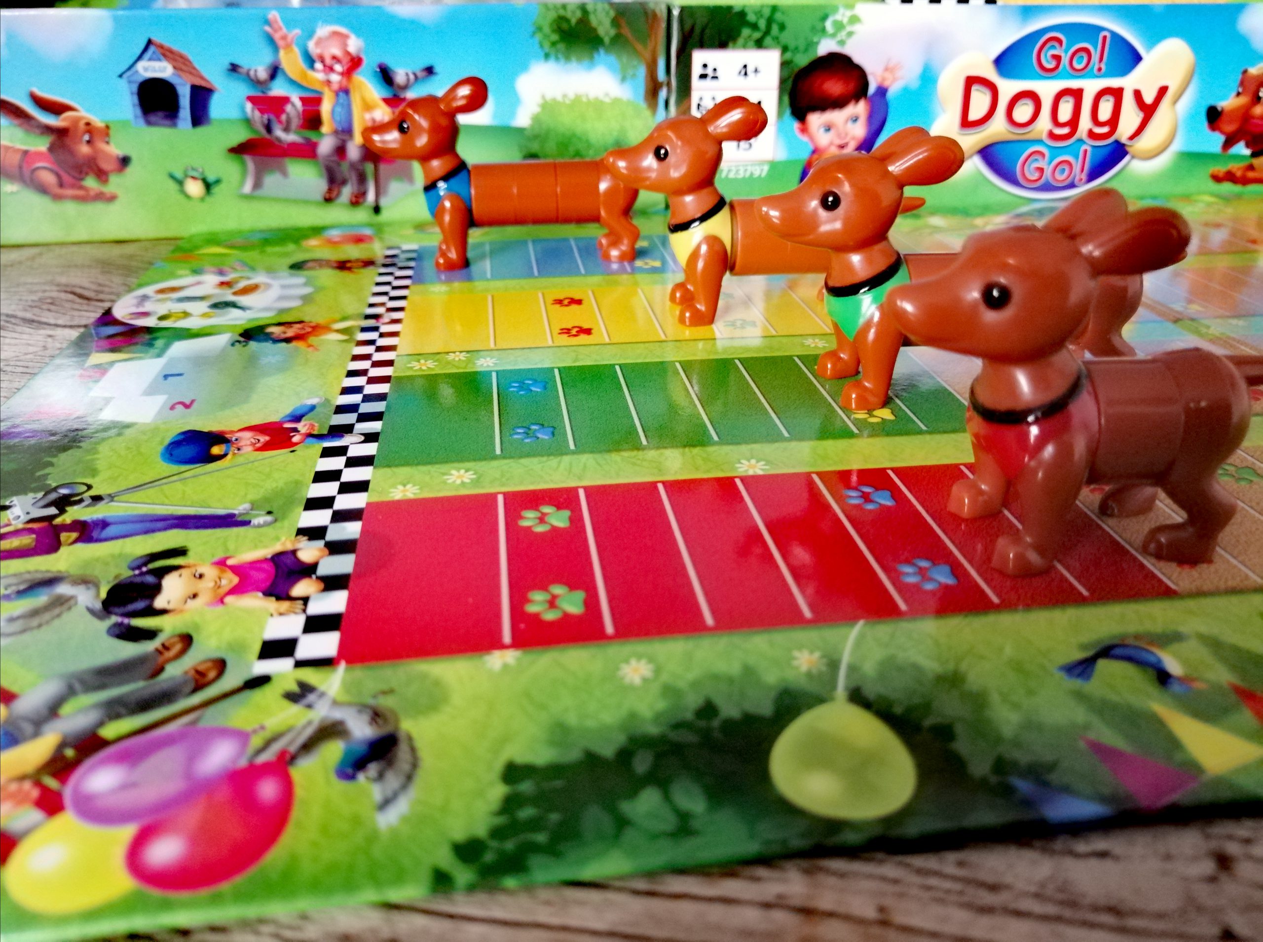 Die vier Dackel sind kurz vor der Ziellinie. 