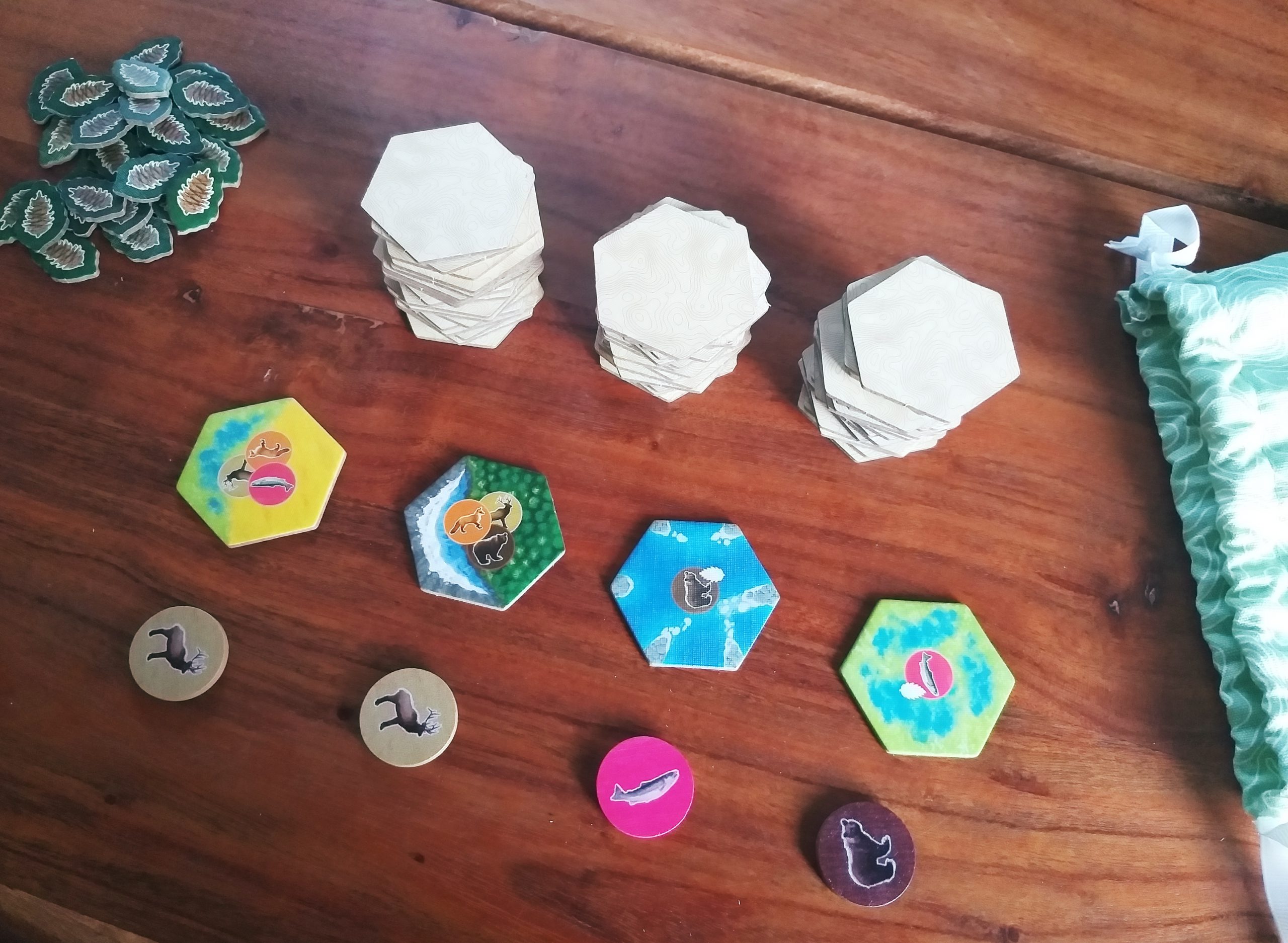 Unsere offene Auslage an Tier- und Landsschaftskombinationen.