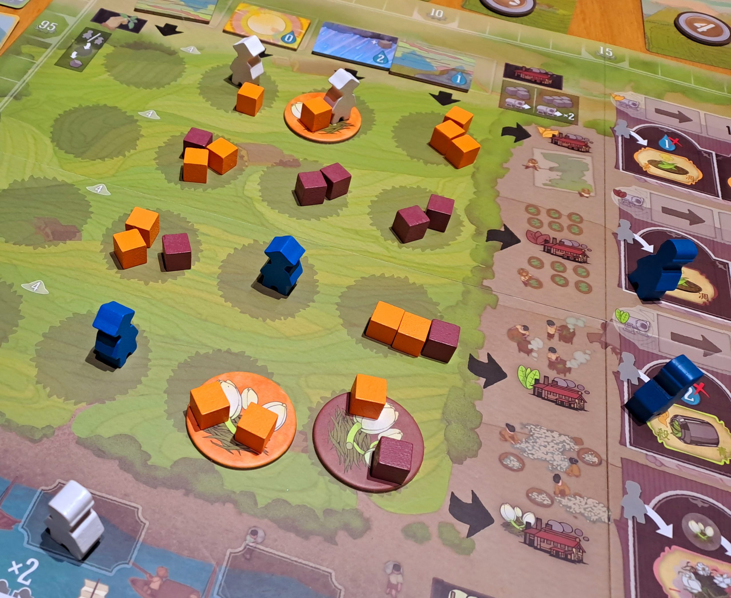 Es kann geerntet werden!