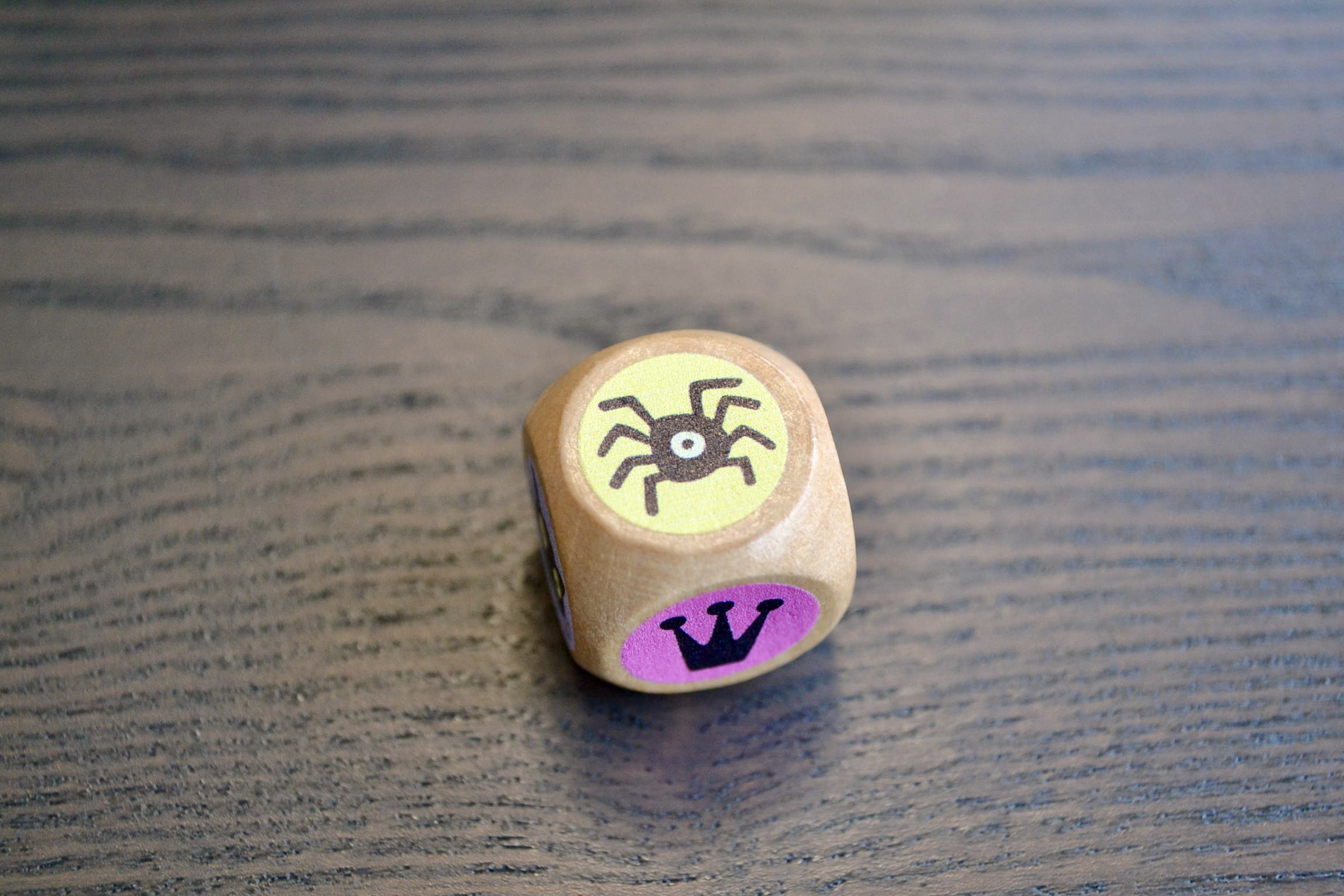 Es zeigt den einzigen Würfel im Spiel. Gewürfelt wurde das Symbol Spinne