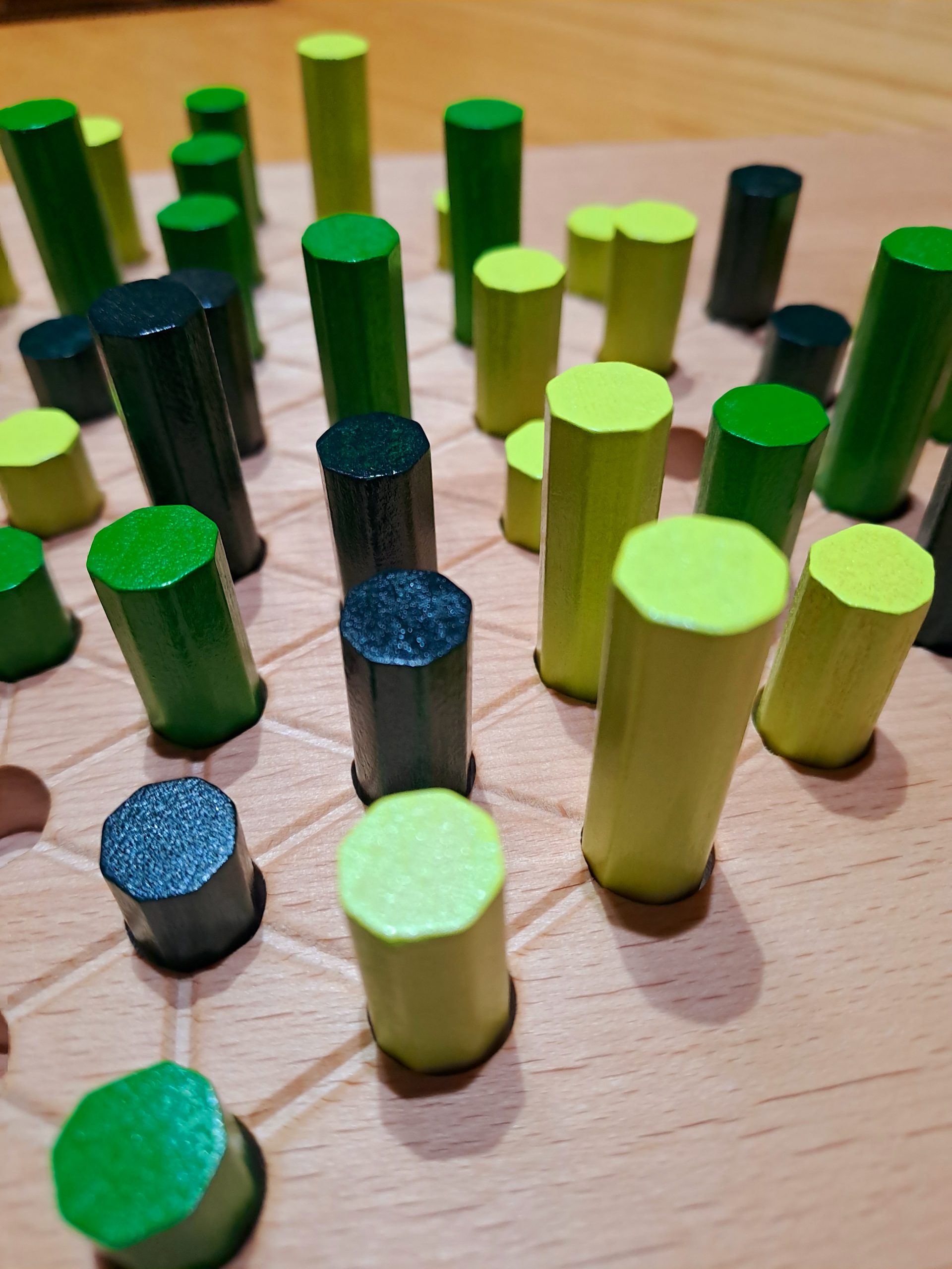 Ein Blick in den Wald