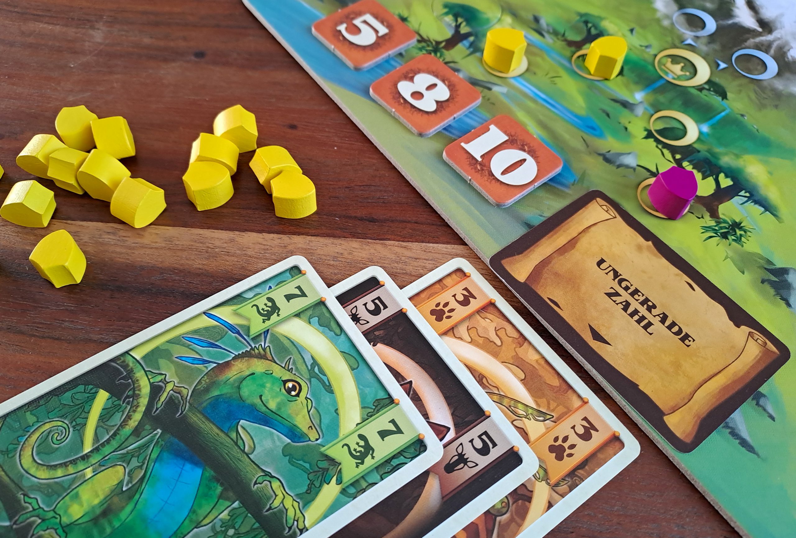 DIe erste Runde läuft.