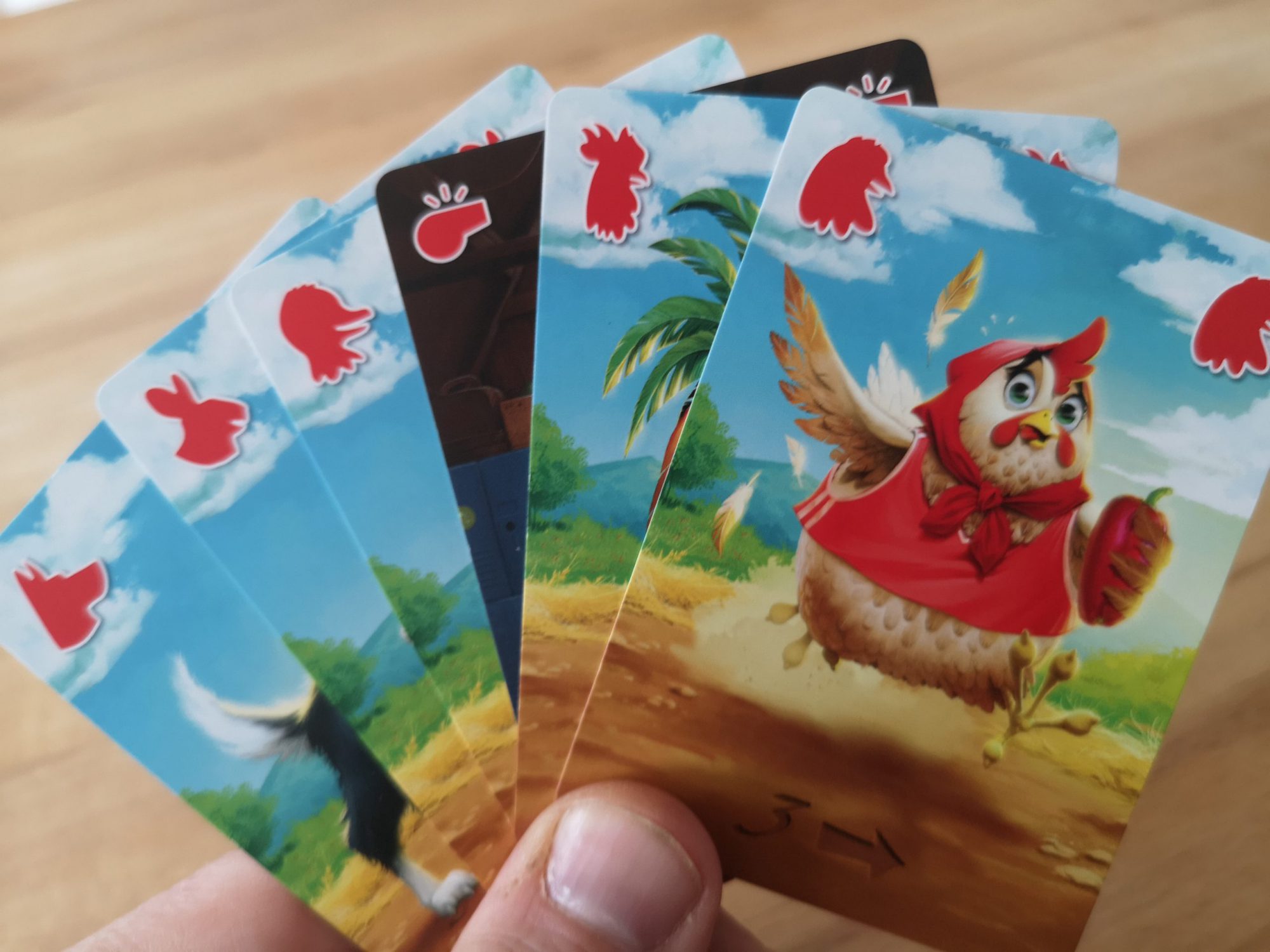 Kartenhand: 6 verschiedene Karten stehen zur Auswahl