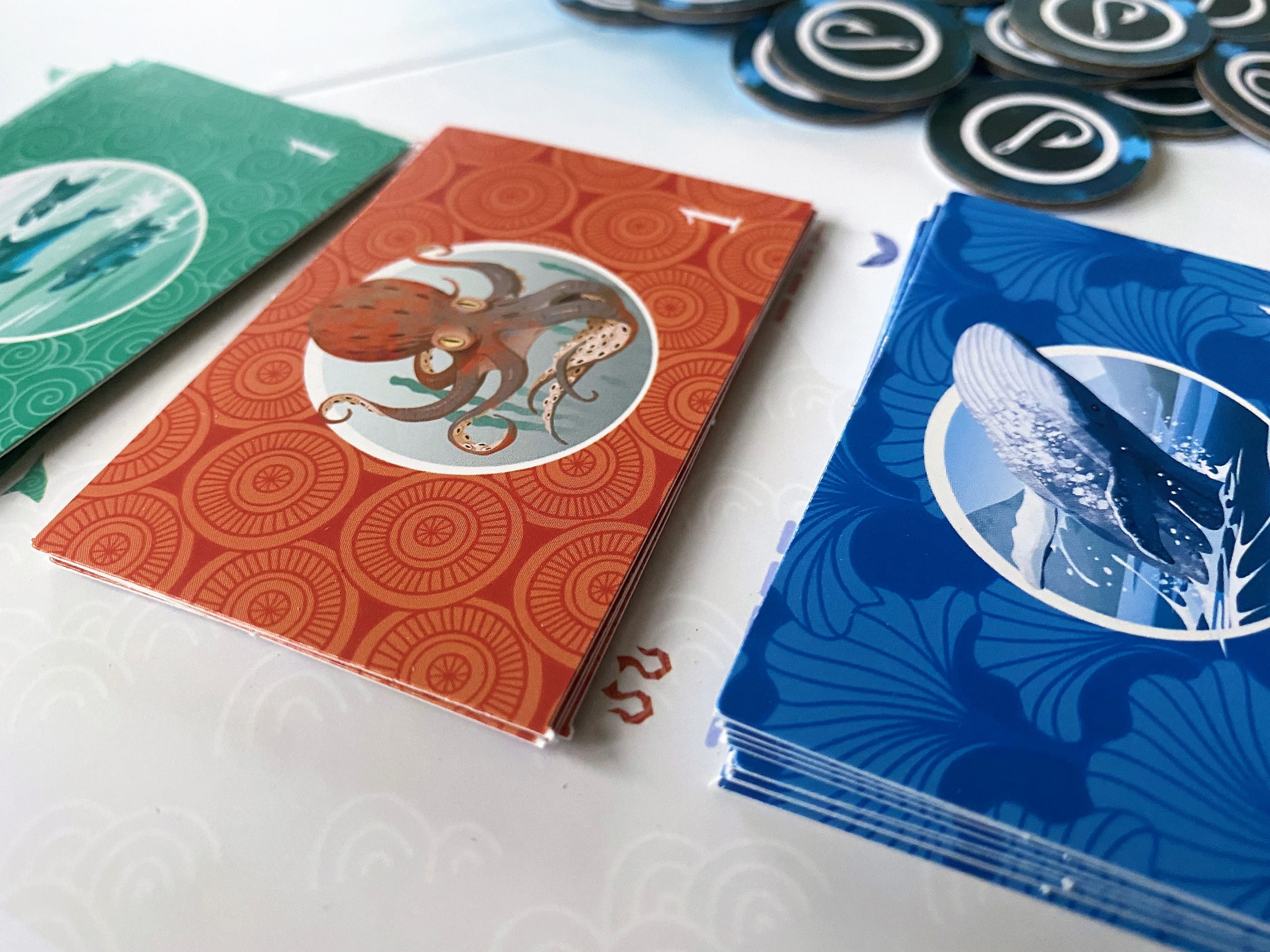 Unterschiedliche Kartenarten für die Panoramen