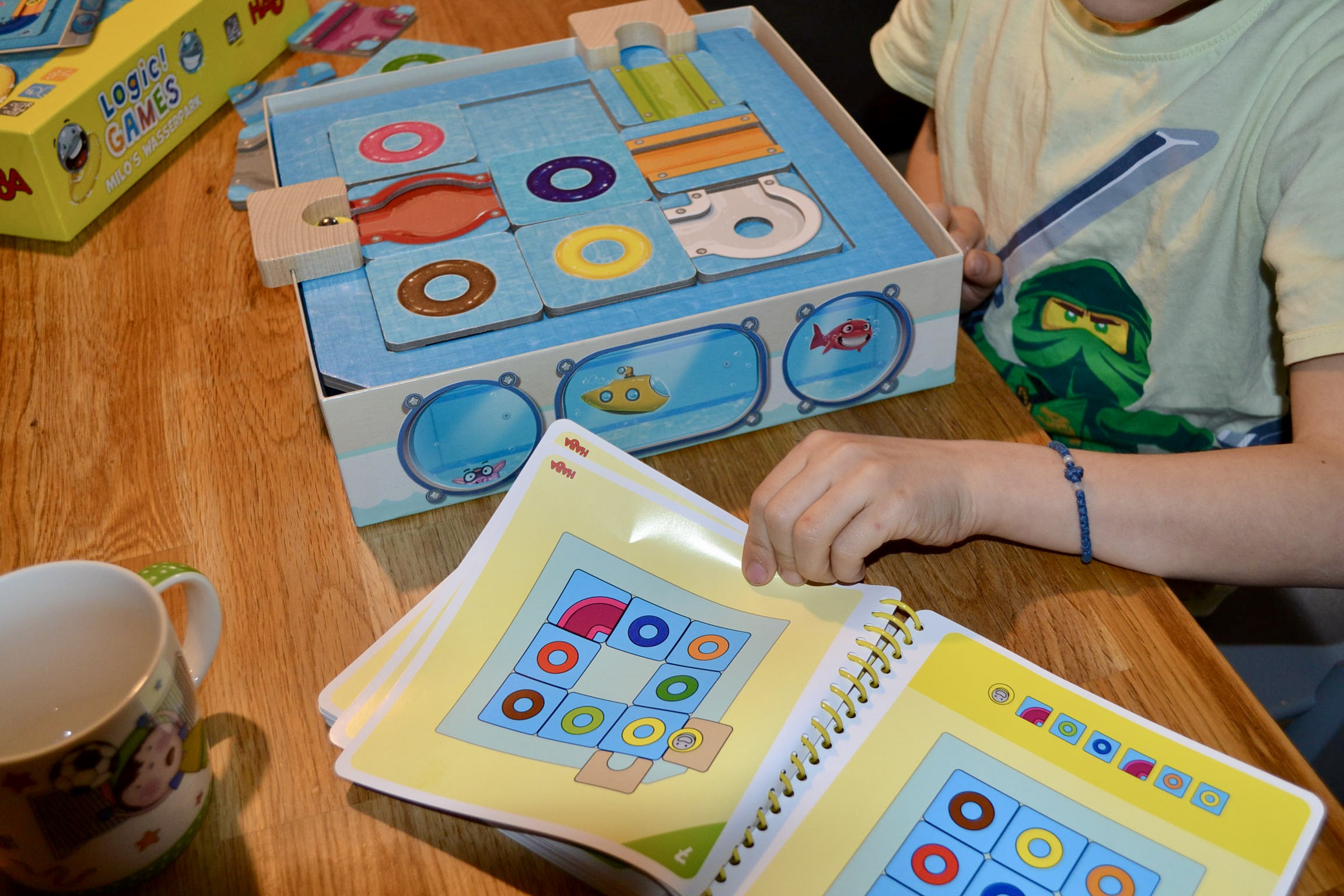 Es wird in dem Ringbuch nach einer Aufgabe gesucht. Das Spiel liegt bereit.