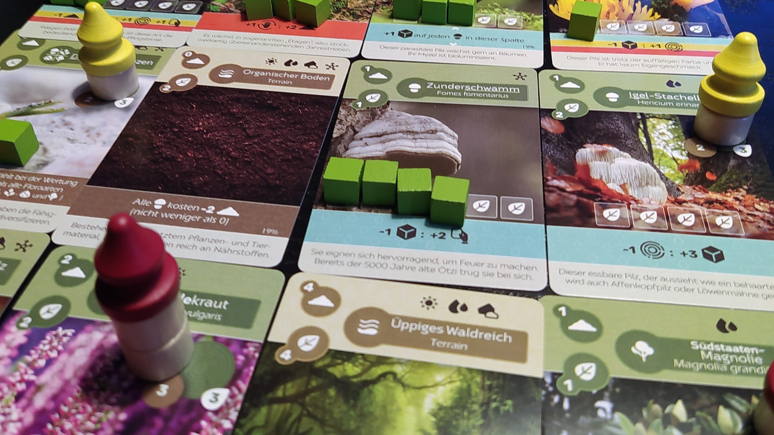 Die Karten werden in einem Raster in der Größe 4 auf 4 ausgelegt.