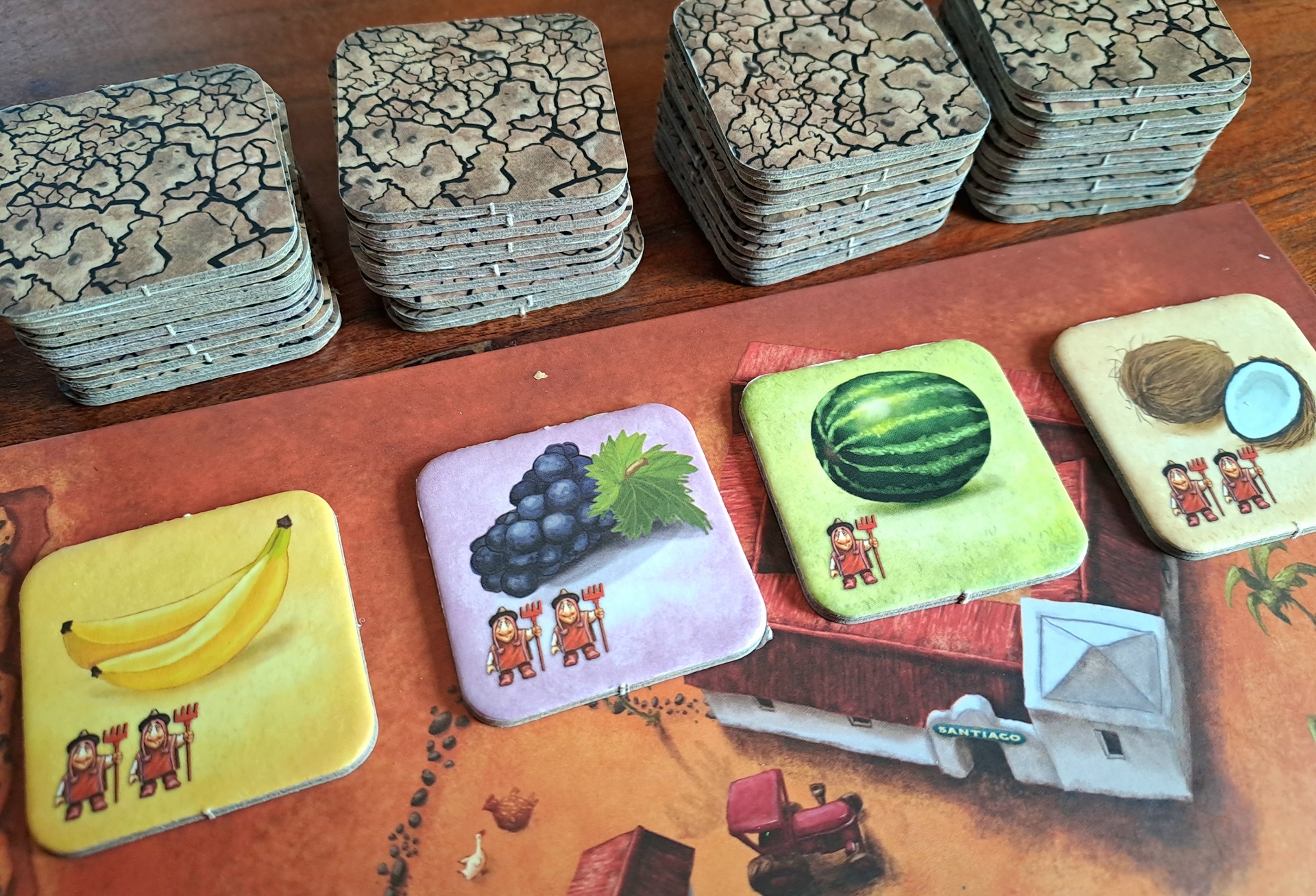 Die Auslage dieser Runde.