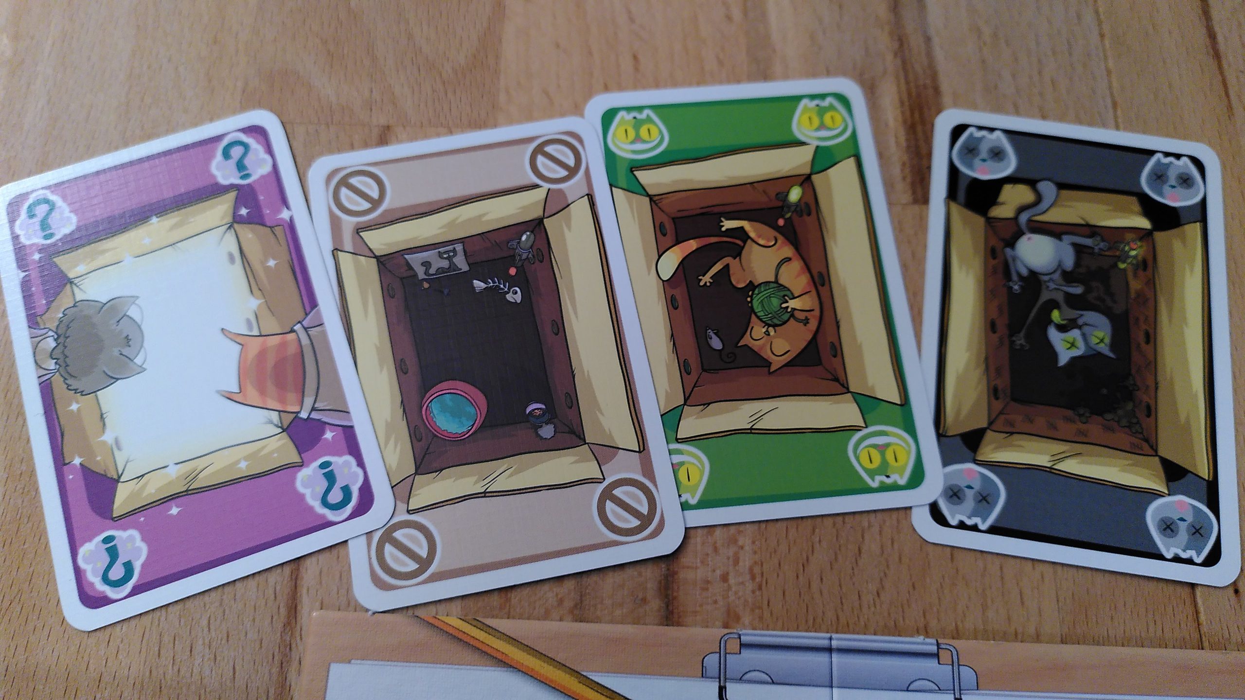 Die verschiedenen Kartenarten: ein Heisenbergsche Unschärferelation, ein leerer Kartn, eine lebende Katze und eine tote Katze 