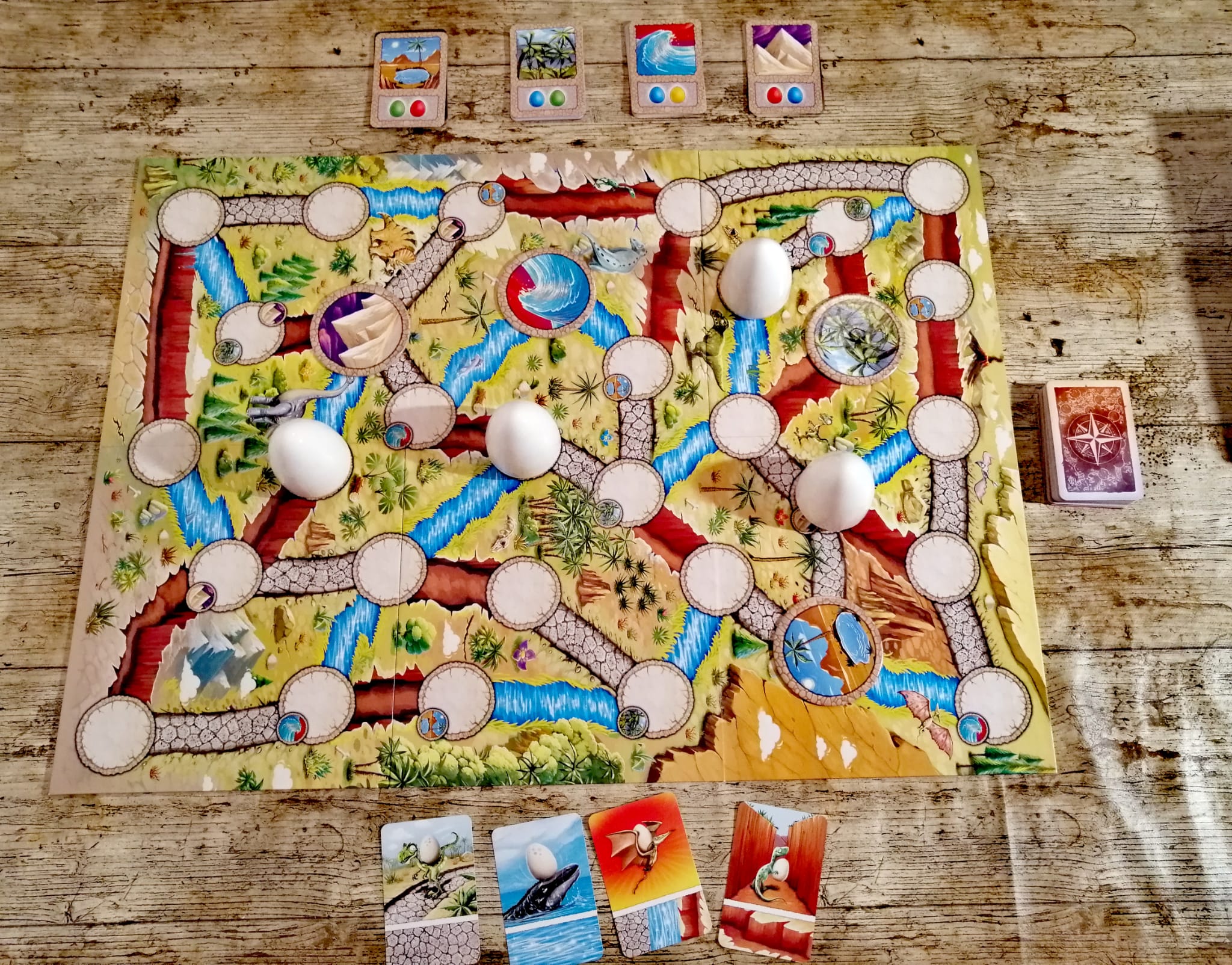 Das Spielfeld mit den Dinosaurier ist aufgebaut. Die Chipplättchen und die Eier liegen verteilt auf dem Spielbrett. 