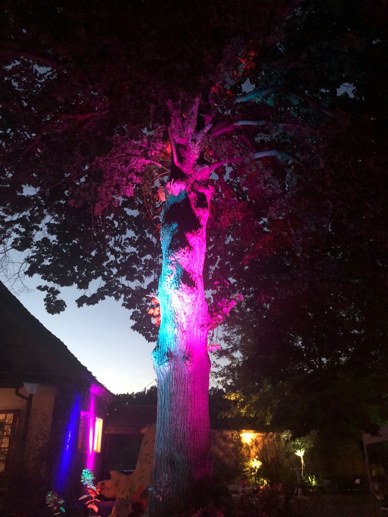 Der Baum im Burghof bei Dunkelheit