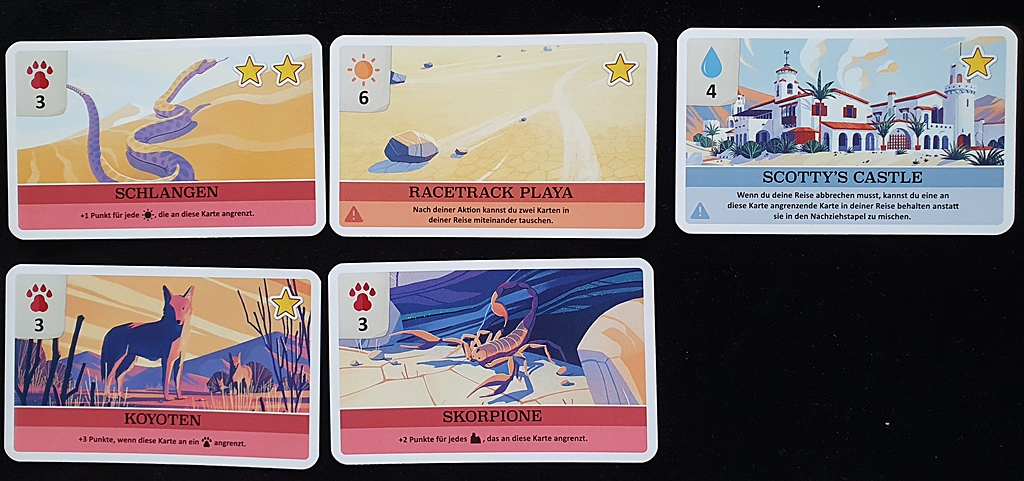 Auslage eines Spielenden in zwei Reihen