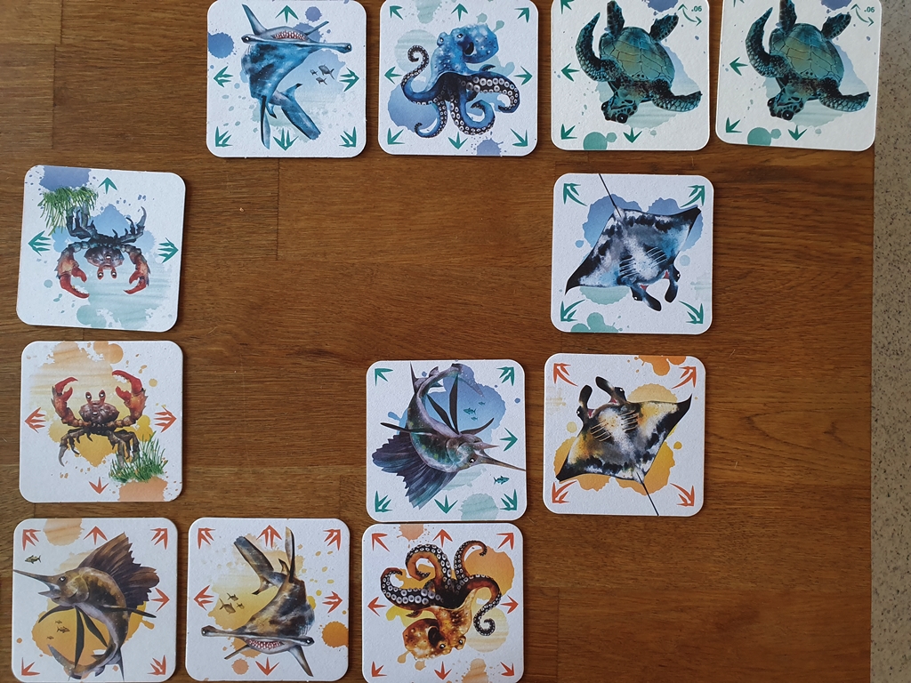 Blau hat daraufhin die Schildkröte geschlagen