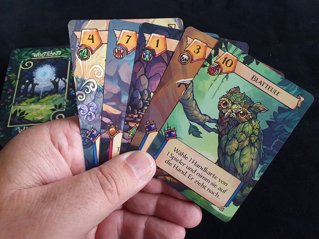 Kartenhand mit fünf Karten zu Beginn einer Runde
