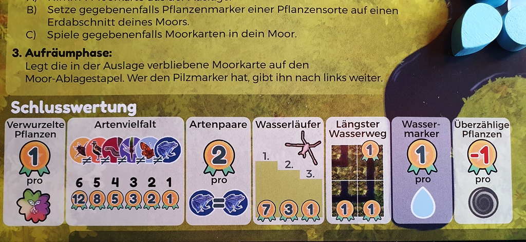 Die Vorgaben zur Endwertung