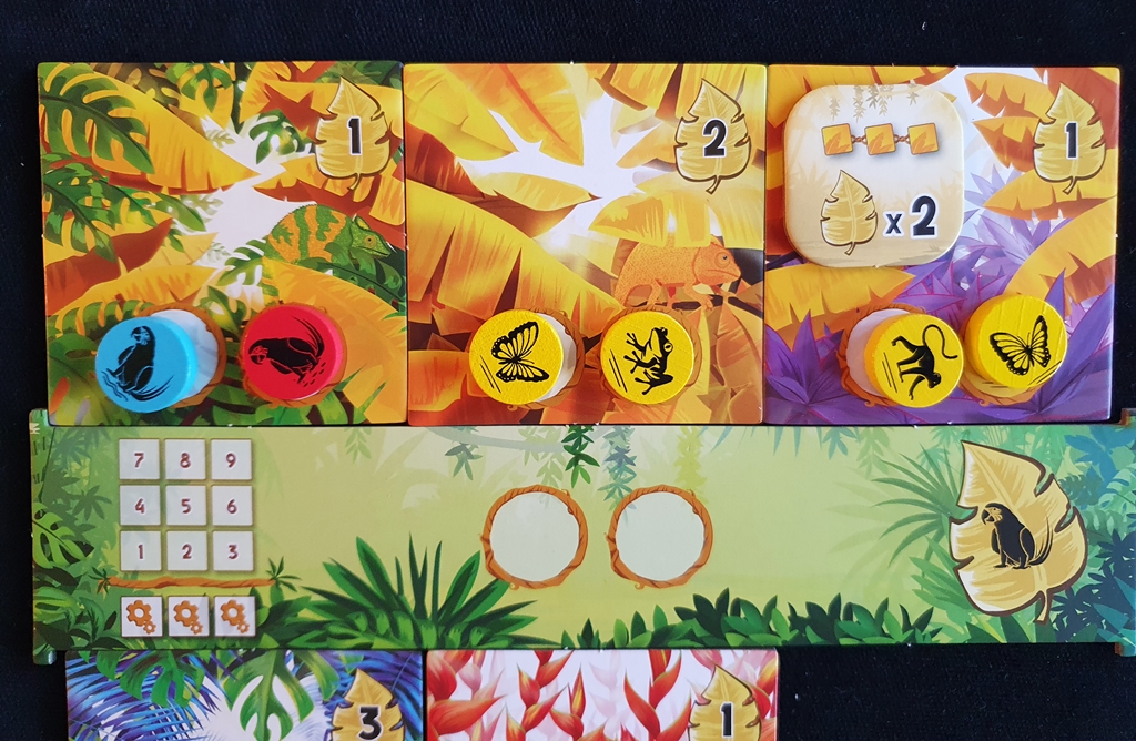 Ein Farbbonus wurde erreicht