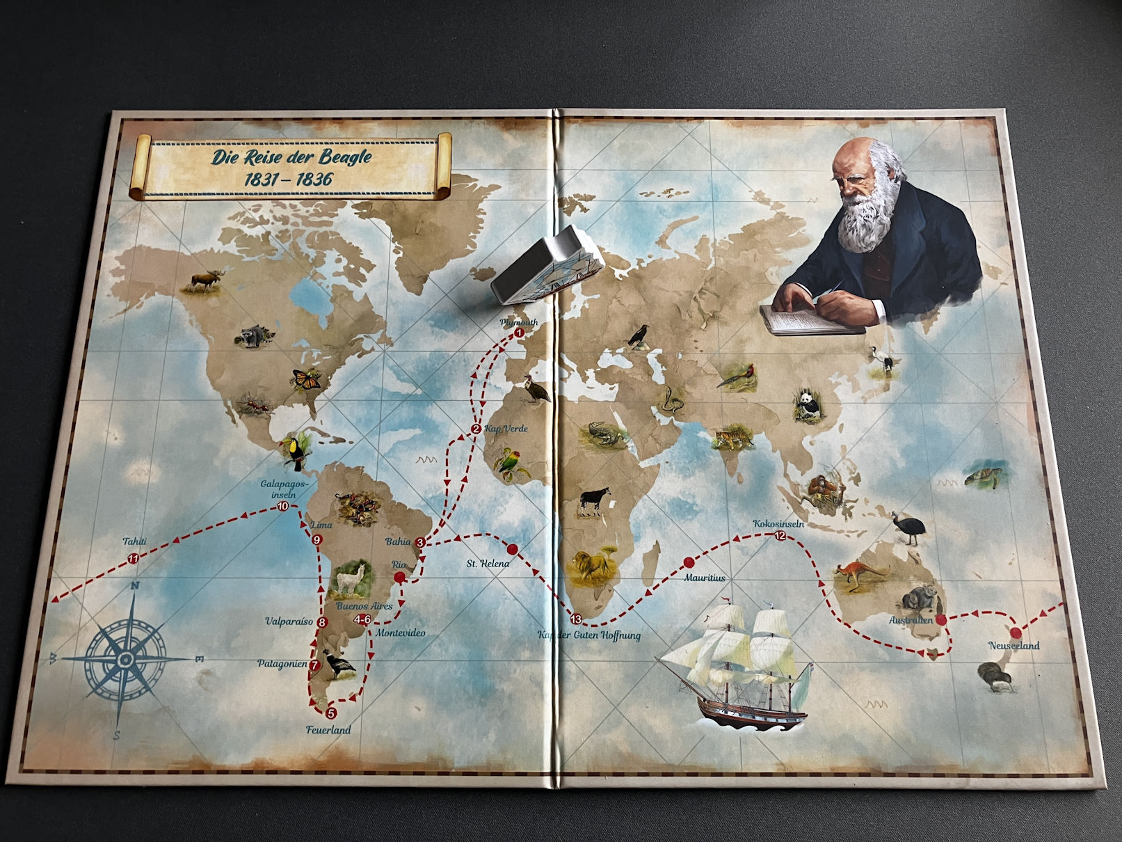 Die Rückseite des Spielplans zeigt eine Weltkarte mit der Entdeckungsreise der HMS Beagle und ein paar der Stationen