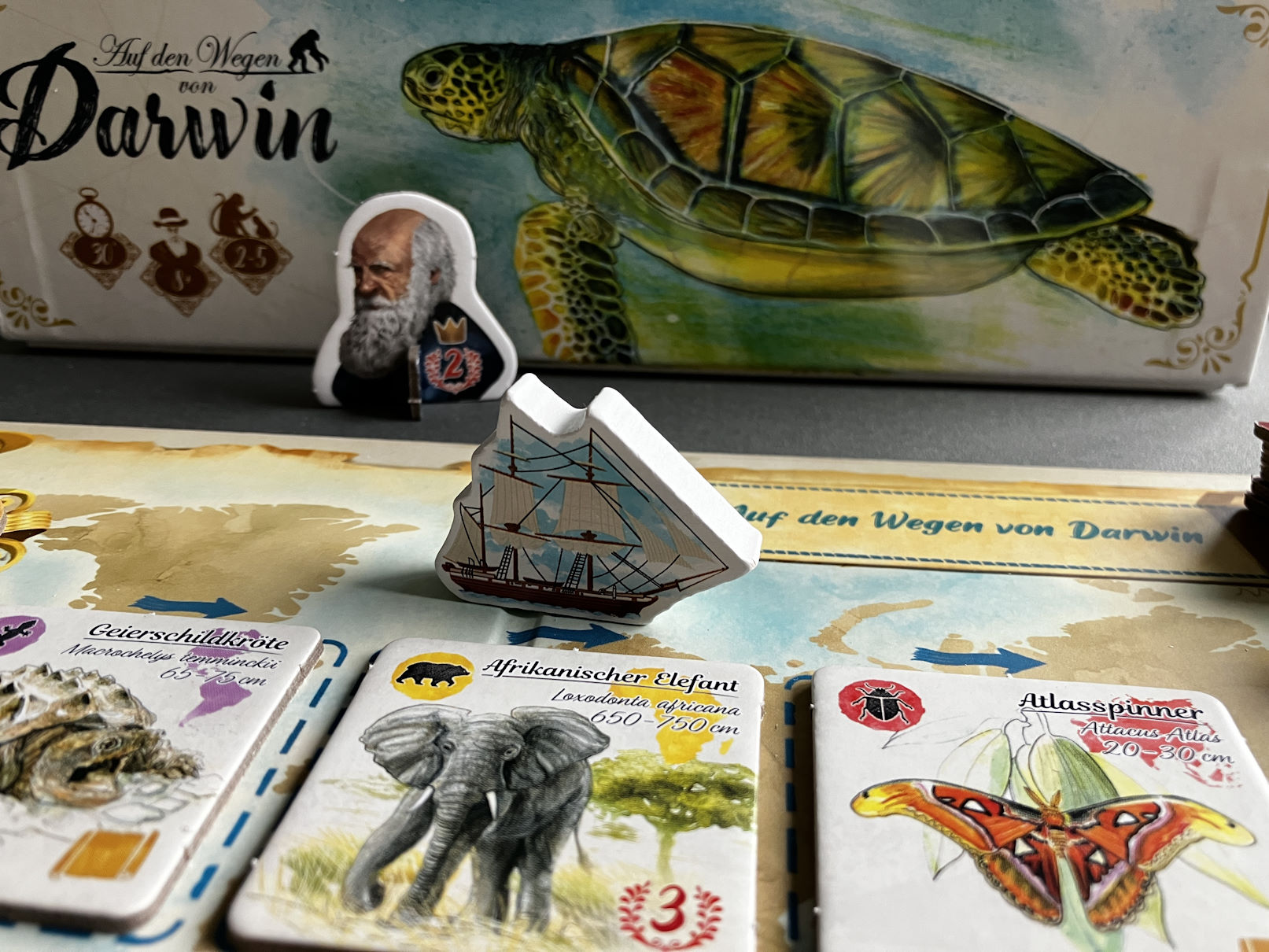 Nahaufnahme des Holzmarkers - der HMS Beagle - vor Charles Darwin und der Spielschachtel
