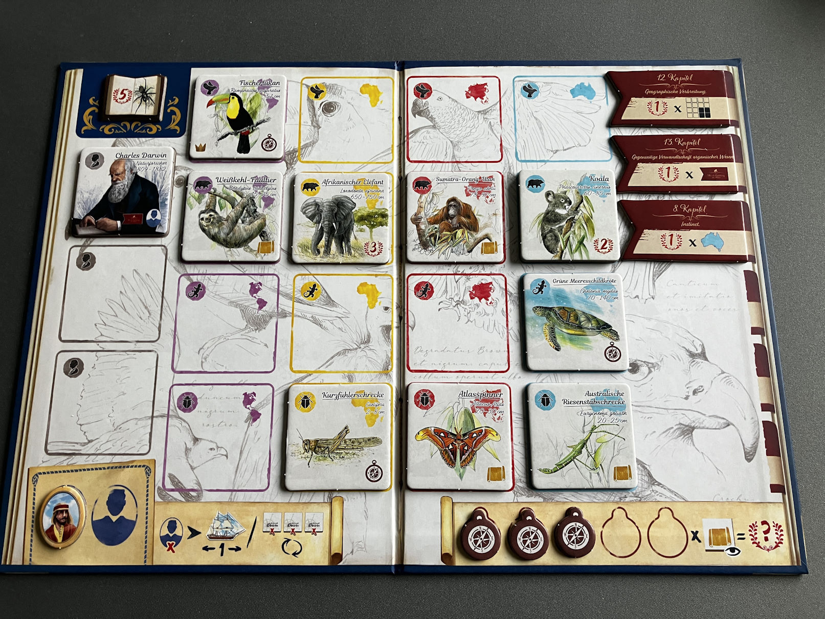 Übersicht eines Spielertableaus in der zweiten Spielhälfte