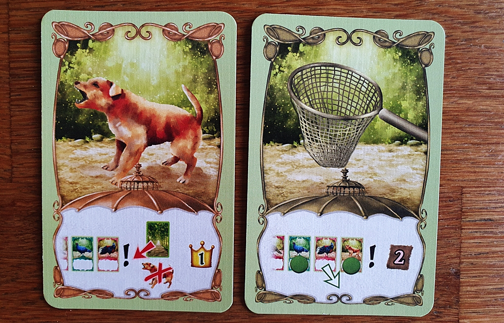 Die zwei Arten von Sonderkarten