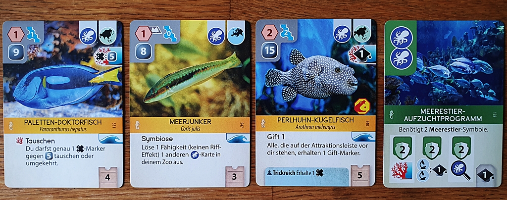 Beispiele für neuen Karten