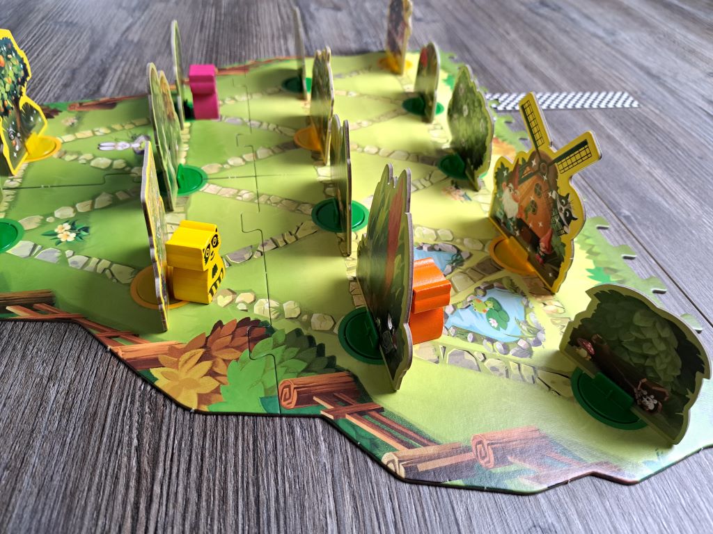 verstecke Waschbären