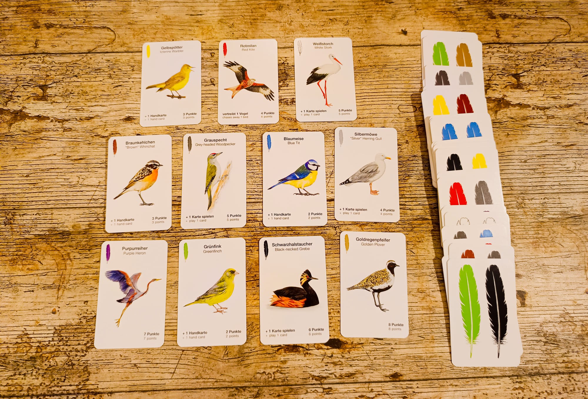 Die Vögel wurden natürlich auf den Karten abgedruckt. 