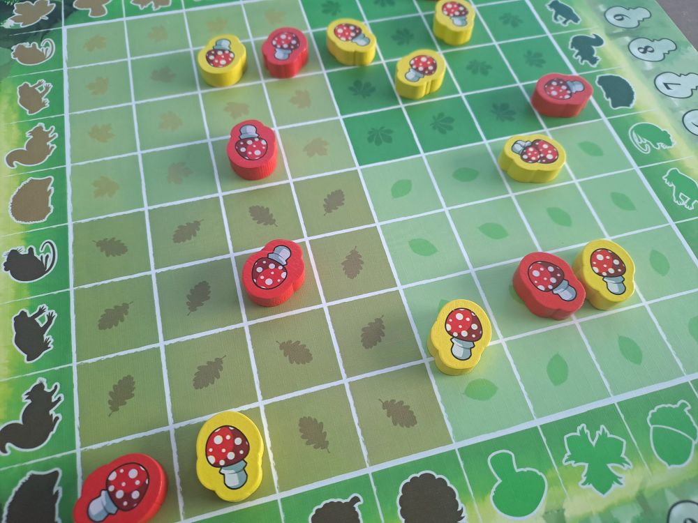 Blick auf die Lichtung. Es liegen bereits einige Giftpilzmarker aus.