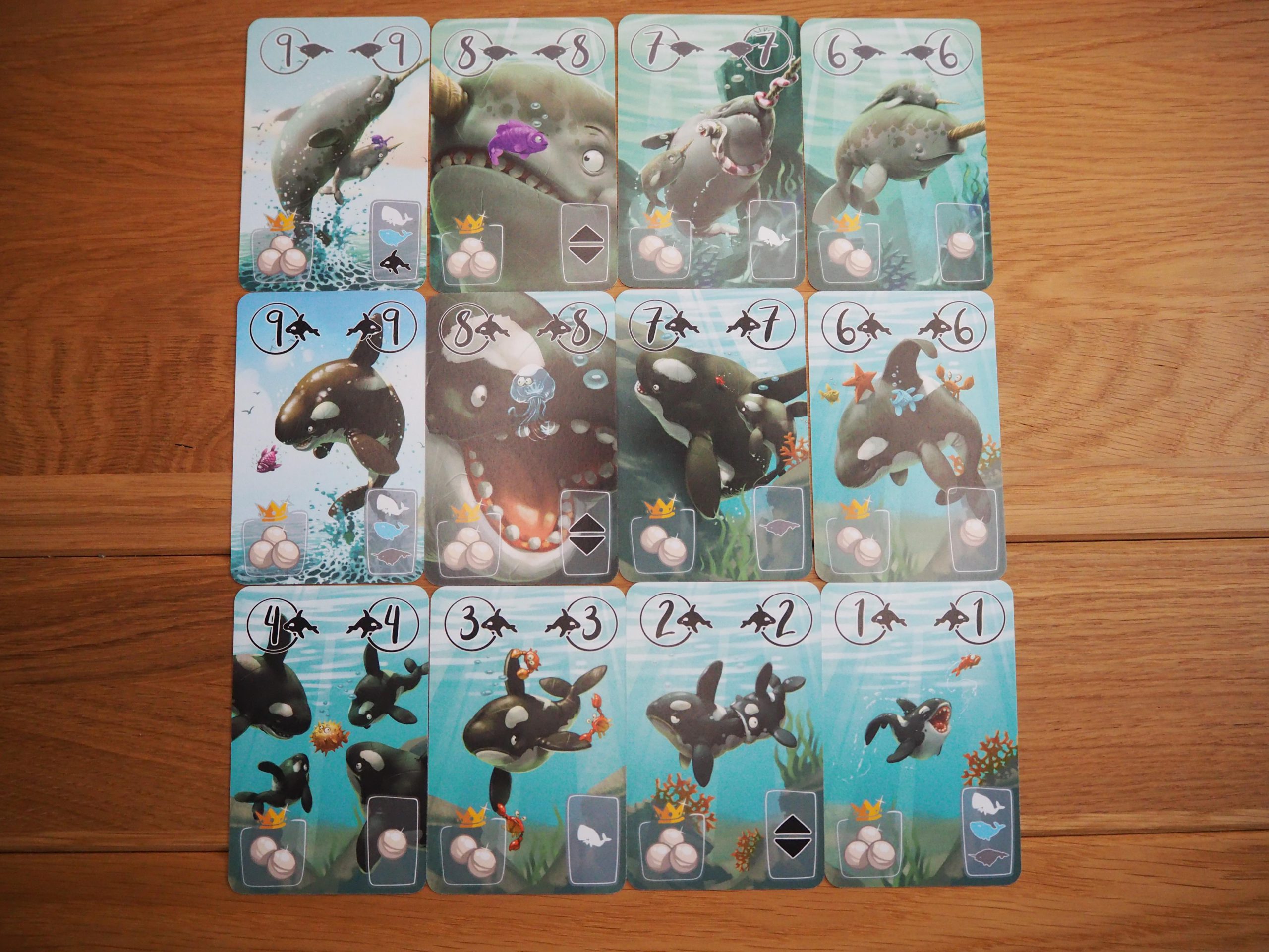 Raster aus 4x3 Karten mit Walmotiven