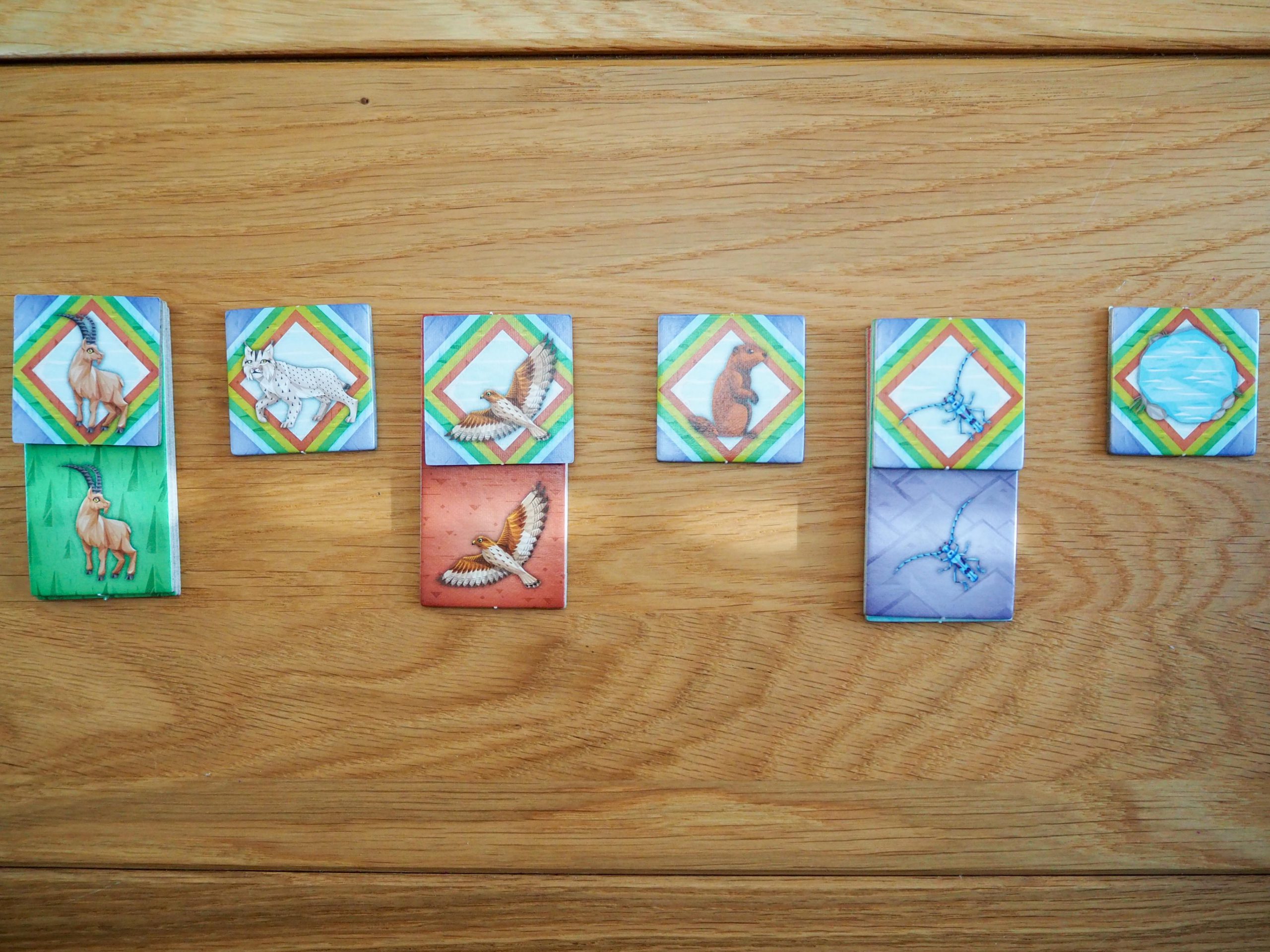 Sechs quadratische Alpinoplättchen nebeneinander, unter drei Stück liegen passende Alpinoplättchen.