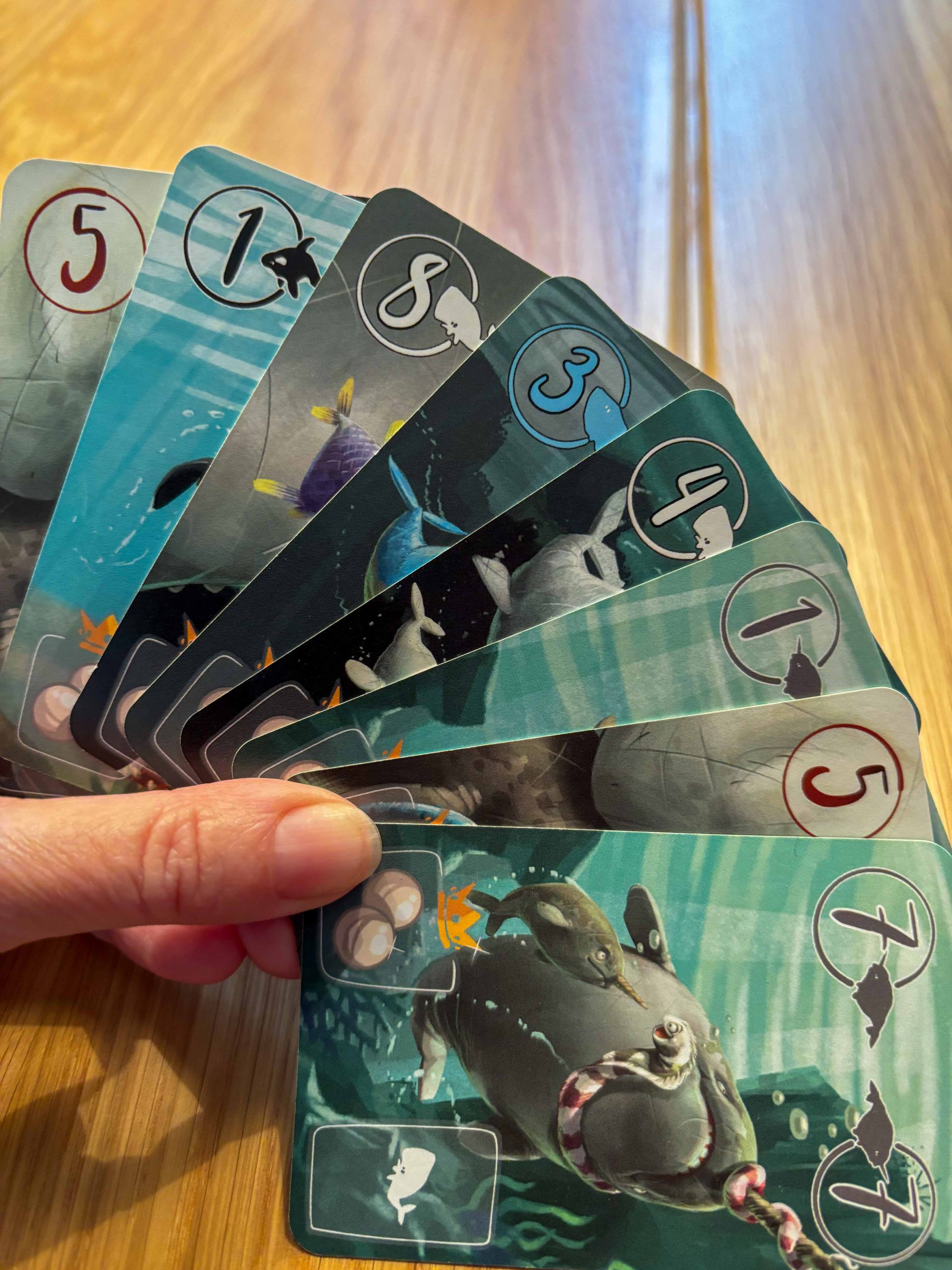 Aufgefächerte Karten in der Hand