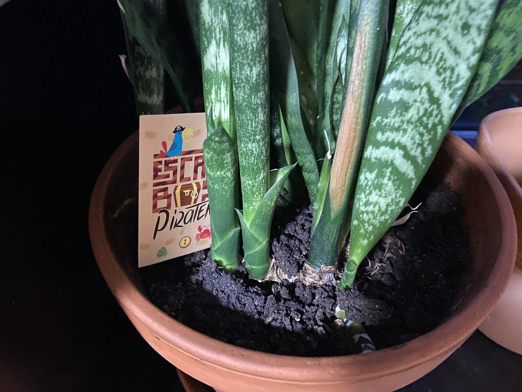 Versteckte Karte in einem Blumentopf